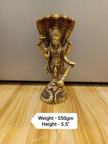 vishnu ji